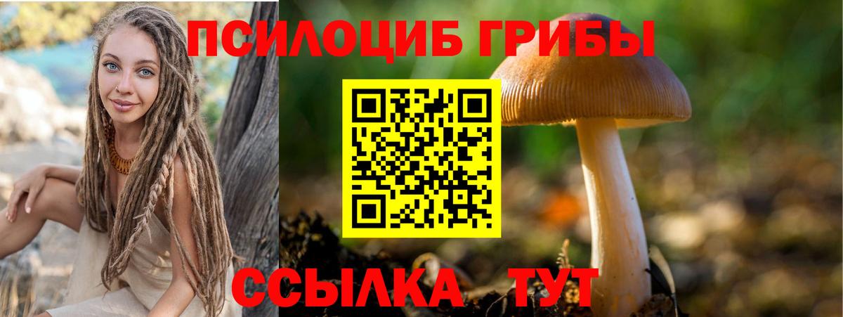 Псилоцибиновые грибы ЛСД Бердск