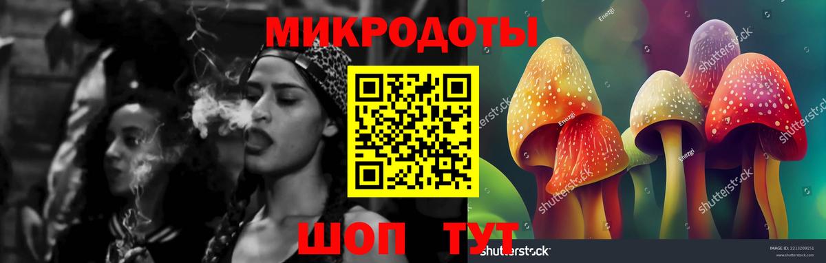 Бердск  Псилоцибиновые грибы прущие грибы  Вход с VPN 